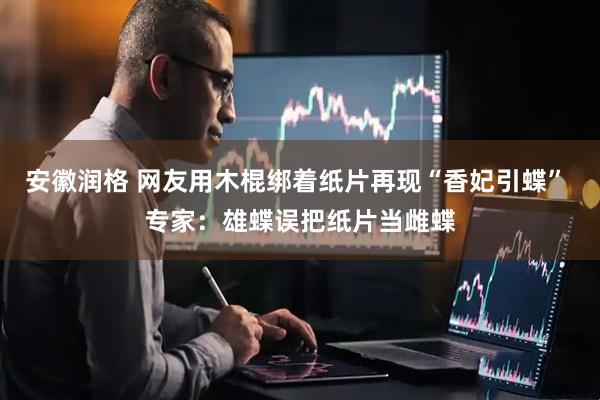 安徽润格 网友用木棍绑着纸片再现“香妃引蝶” 专家：雄蝶误把纸片当雌蝶