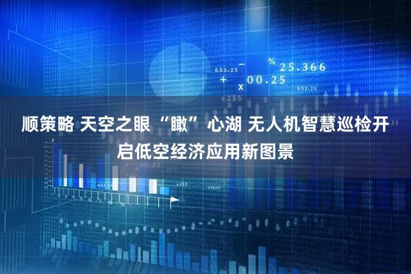顺策略 天空之眼 “瞰” 心湖 无人机智慧巡检开启低空经济应用新图景