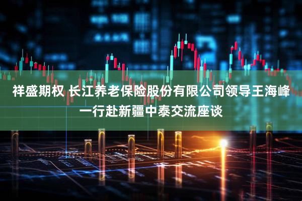 祥盛期权 长江养老保险股份有限公司领导王海峰一行赴新疆中泰交流座谈