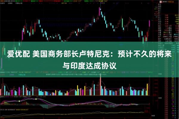 爱优配 美国商务部长卢特尼克：预计不久的将来与印度达成协议