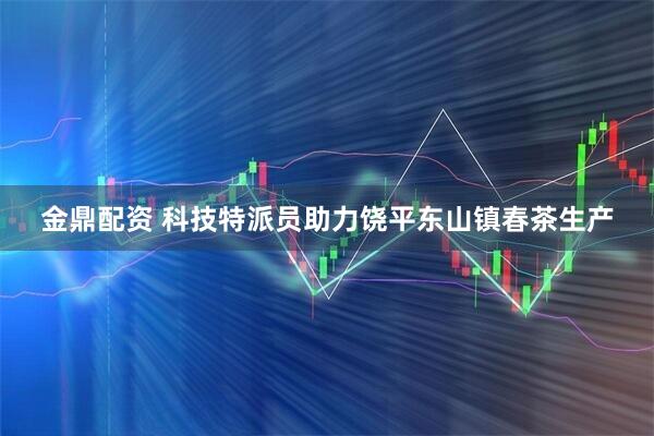 金鼎配资 科技特派员助力饶平东山镇春茶生产