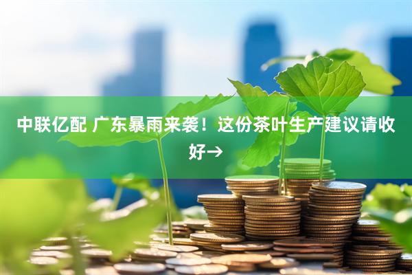 中联亿配 广东暴雨来袭！这份茶叶生产建议请收好→