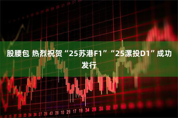 股腰包 热烈祝贺“25苏港F1”“25漯投D1”成功发行