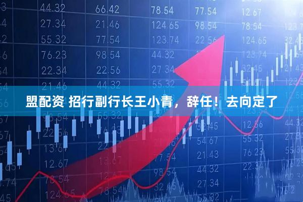盟配资 招行副行长王小青，辞任！去向定了