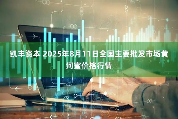 凯丰资本 2025年8月11日全国主要批发市场黄河蜜价格行情