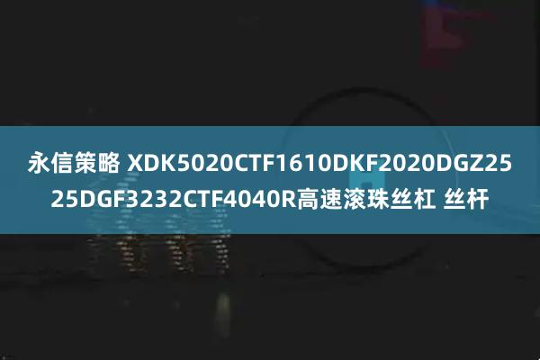永信策略 XDK5020CTF1610DKF2020DGZ2525DGF3232CTF4040R高速滚珠丝杠 丝杆