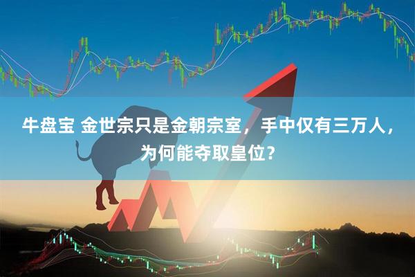 牛盘宝 金世宗只是金朝宗室，手中仅有三万人，为何能夺取皇位？