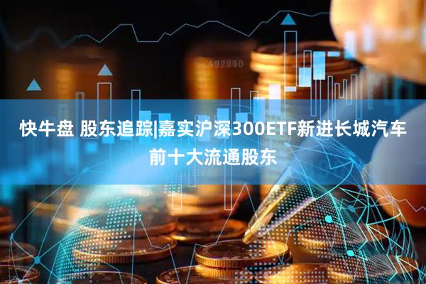 快牛盘 股东追踪|嘉实沪深300ETF新进长城汽车前十大流通股东