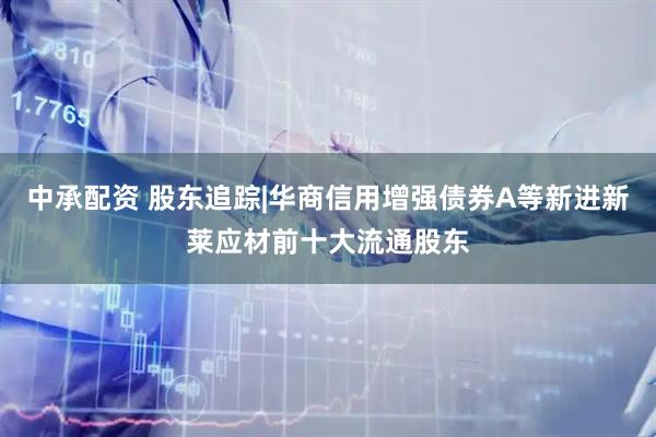 中承配资 股东追踪|华商信用增强债券A等新进新莱应材前十大流通股东