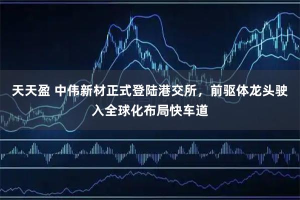 天天盈 中伟新材正式登陆港交所,前驱体龙头驶入全球化布局快车道