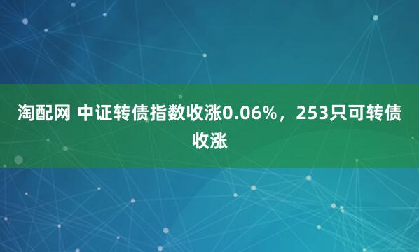 淘配网 中证转债指数收涨0.06%，253只可转债收涨